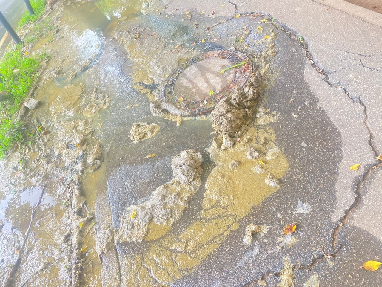 Sewage water pools along the roadside near the Catholic Church close to the ECOWAS office in Asokoro, The Federal Capital Territory, FCT, Abuja, Worshippers and passersby endure foul smells and unsanitary conditions in this heavily used corridor