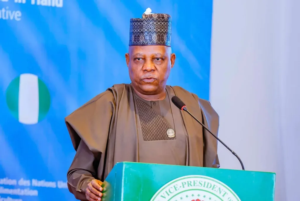 Nigeria’s Future Rests on Small Businesses — Shettima
