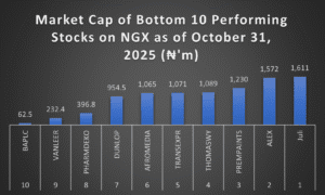 Bottom 10 capitalised stocks on NGX