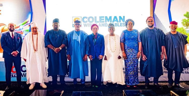 Nigeria unveils fibre optic plant