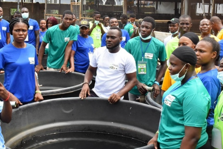 NDYEP - Linking Partners For Niger Delta Development