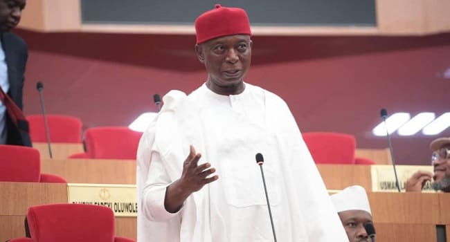Senator Ned Nwoko, Lawmaker Representing Delta North