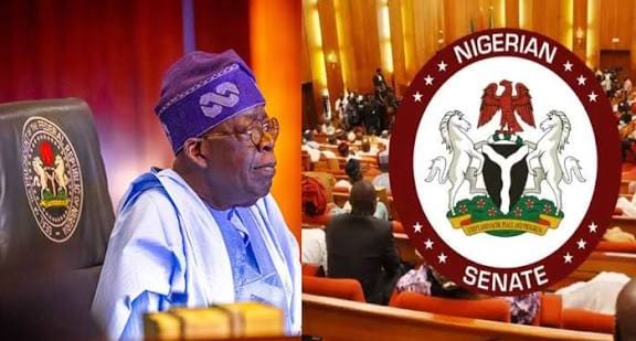 Senators, Tinubu Battle Over Police Withdrawal from VIPs