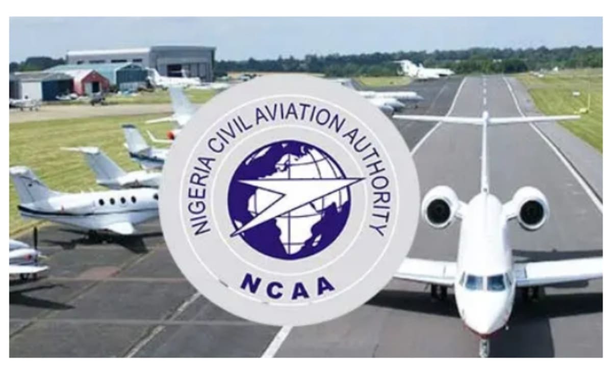 NCAA Gives Airlines 7 Days to Implement Inclusion of Special Needs Options on Flight Ticket System