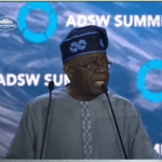 Tinubu Highlights What Developing Countries need to Support Full Climate Commitment