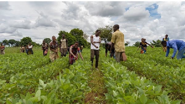 How Middle East War is Deepening Nigeria’s Food Crisis
