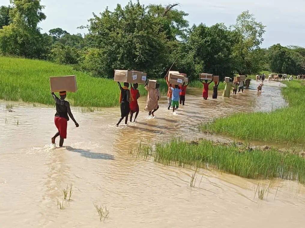 Dirty environment, a breeding ground for mosquitoes that cause malaria