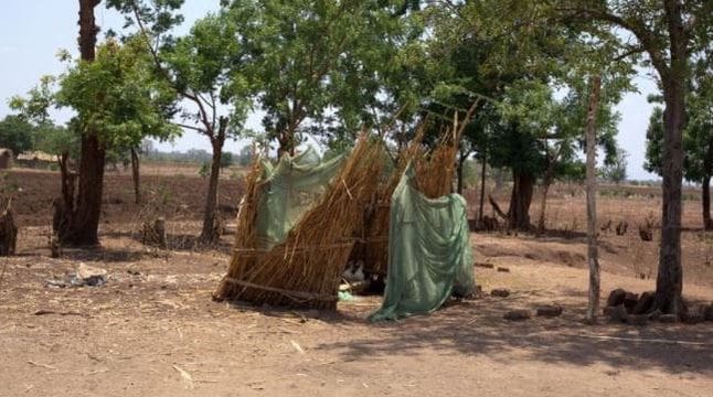 Poor awareness leading to use of mosquito nets in farms instead of homes