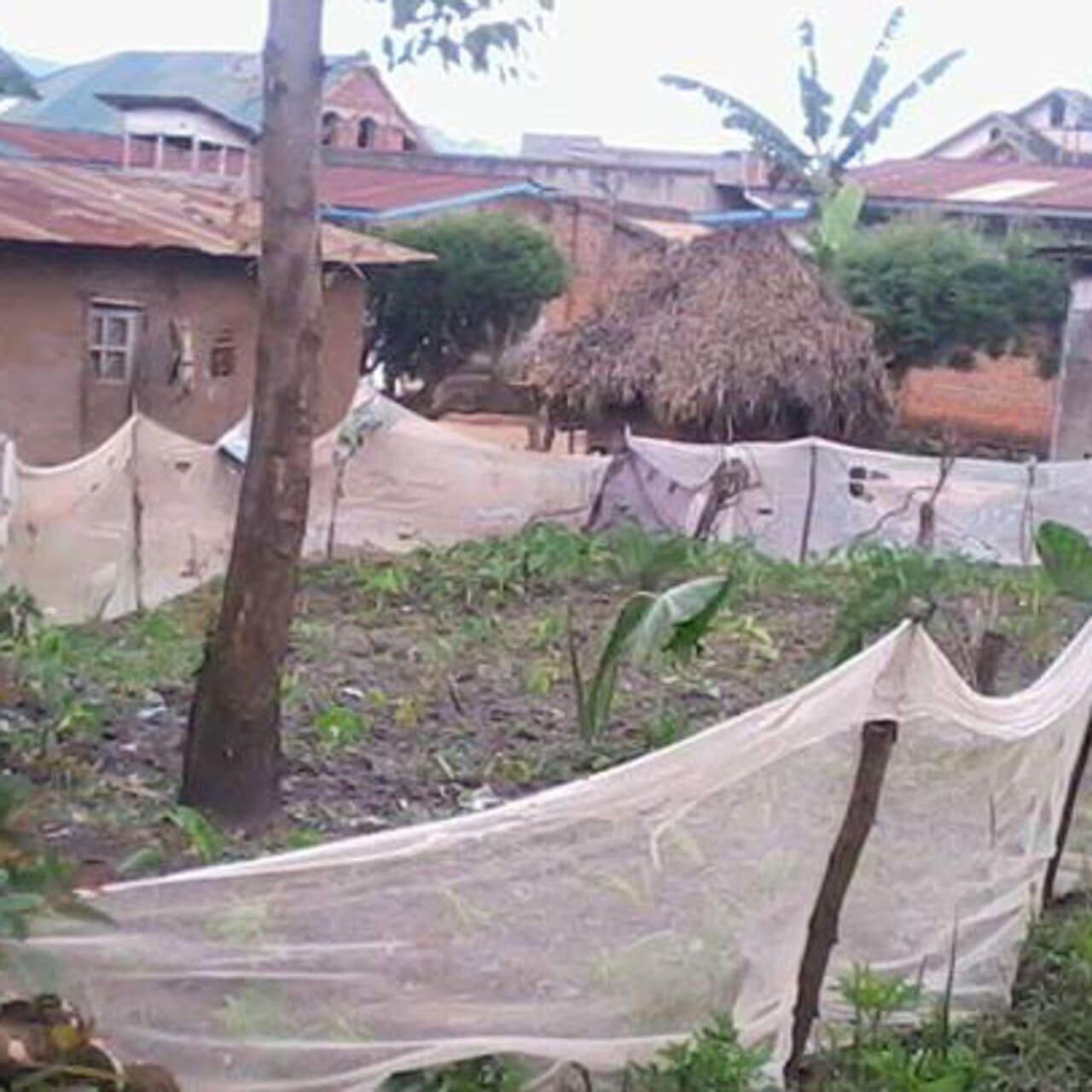 Why Nigeria Remains the Global Epicentre of Malaria Burden