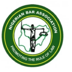 NBA Condemns Extrajudicial Killing in Delta, Demands Prosecution of Police Officers