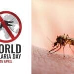 Why Nigeria Remains the Global Epicentre of Malaria Burden
