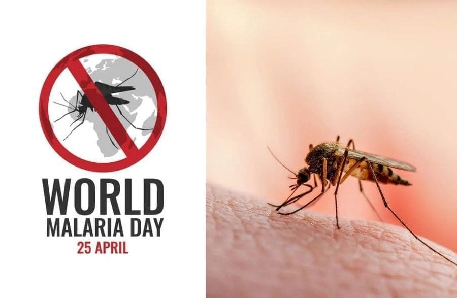 Why Nigeria Remains the Global Epicentre of Malaria Burden