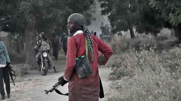 30,000 Fulani Militants Behind Killings Across Nigeria - US Commission Report