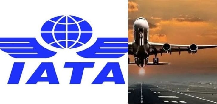 Airline Profits to Drop by Half in 2026 as Jet Fuel Costs Soar over Middle East Crisis - IATA