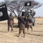 ISWAP Leadership Succession Hit as Commander Rejects ISIS Appointment After Mainok’s Death