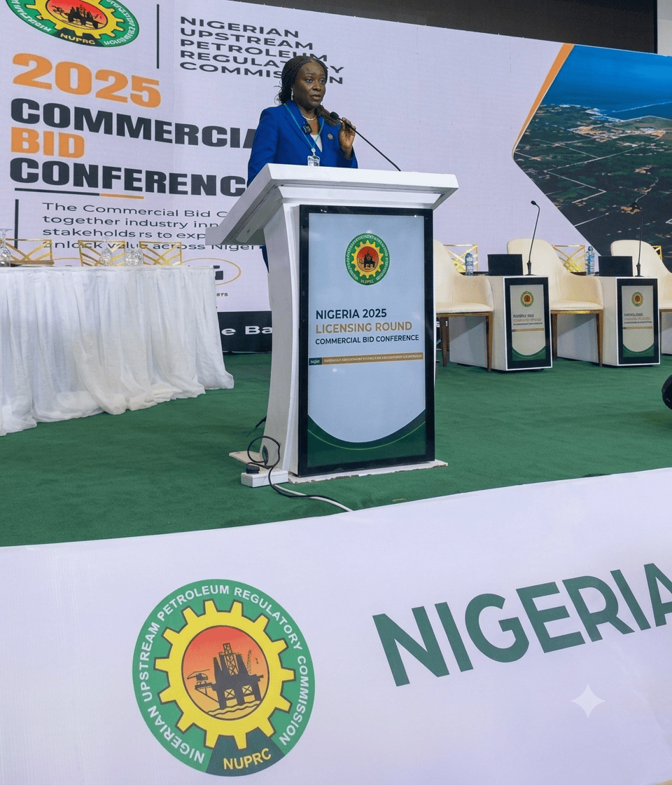3m bpd 2030 Target: Can Block Licensing Deliver Nigeria's Oil